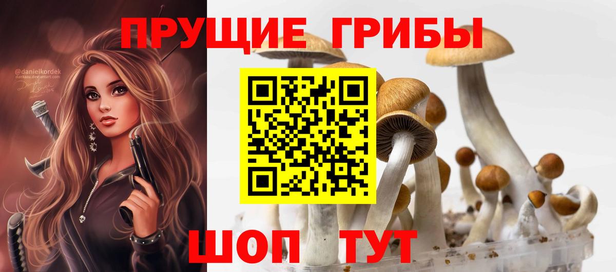 Псилоцибиновые грибы ЛСД Гуково