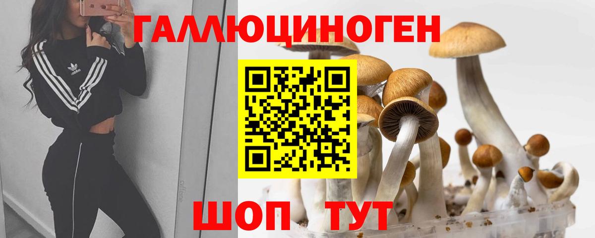 Галлюциногенные грибы мухоморы  Вход с VPN  Гуково 